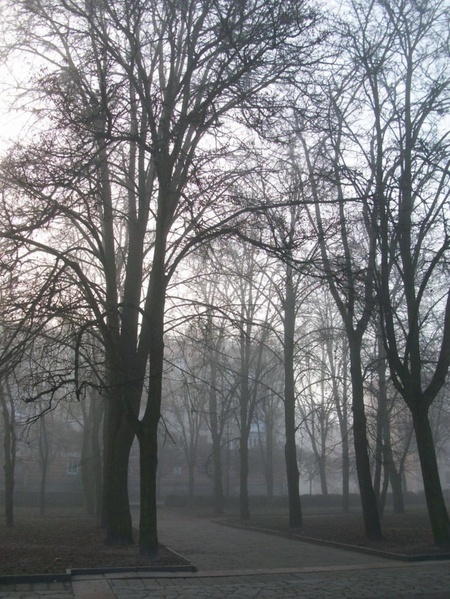 Вони брехні не чують...