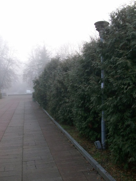 Під світлом мертвих ліхтаів...