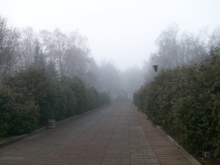 Дорогою до камінюки...