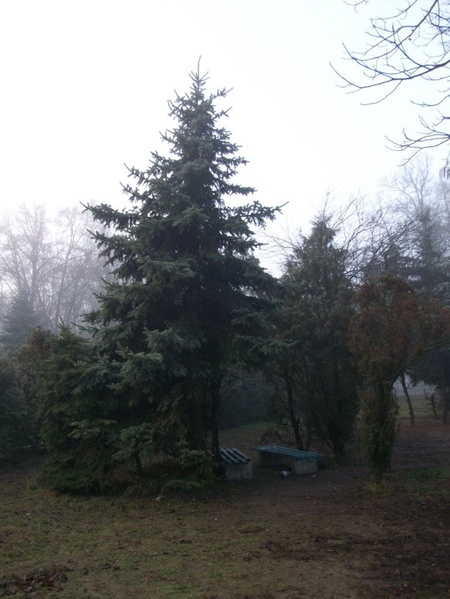 Присядь, перепочинь