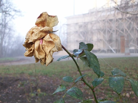 Втрачаючи щось мимолітнє...