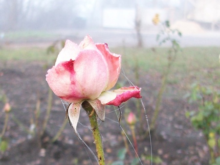 Під різними кутами...