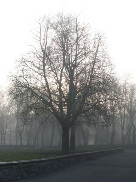 В самотності...