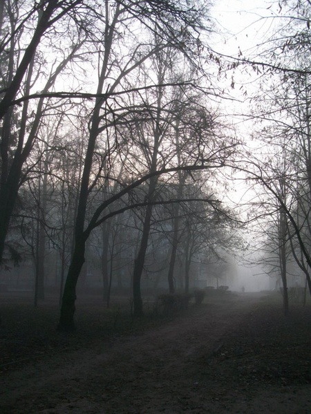 Прямою дорогою в безодню